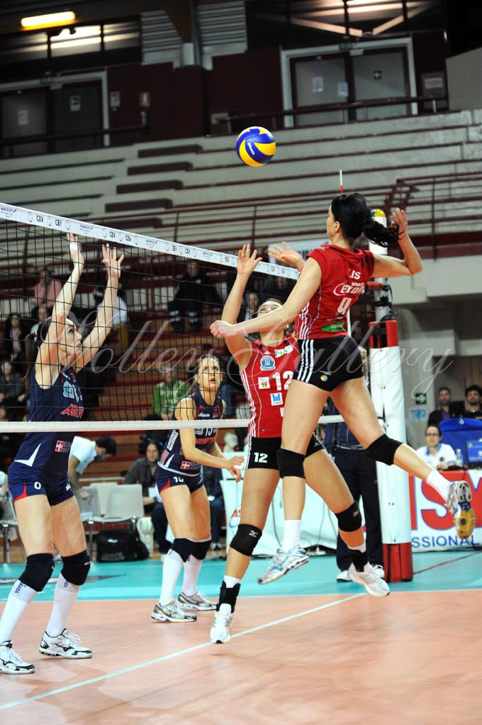 Asystel NO Dabrowa Gornicza (33)